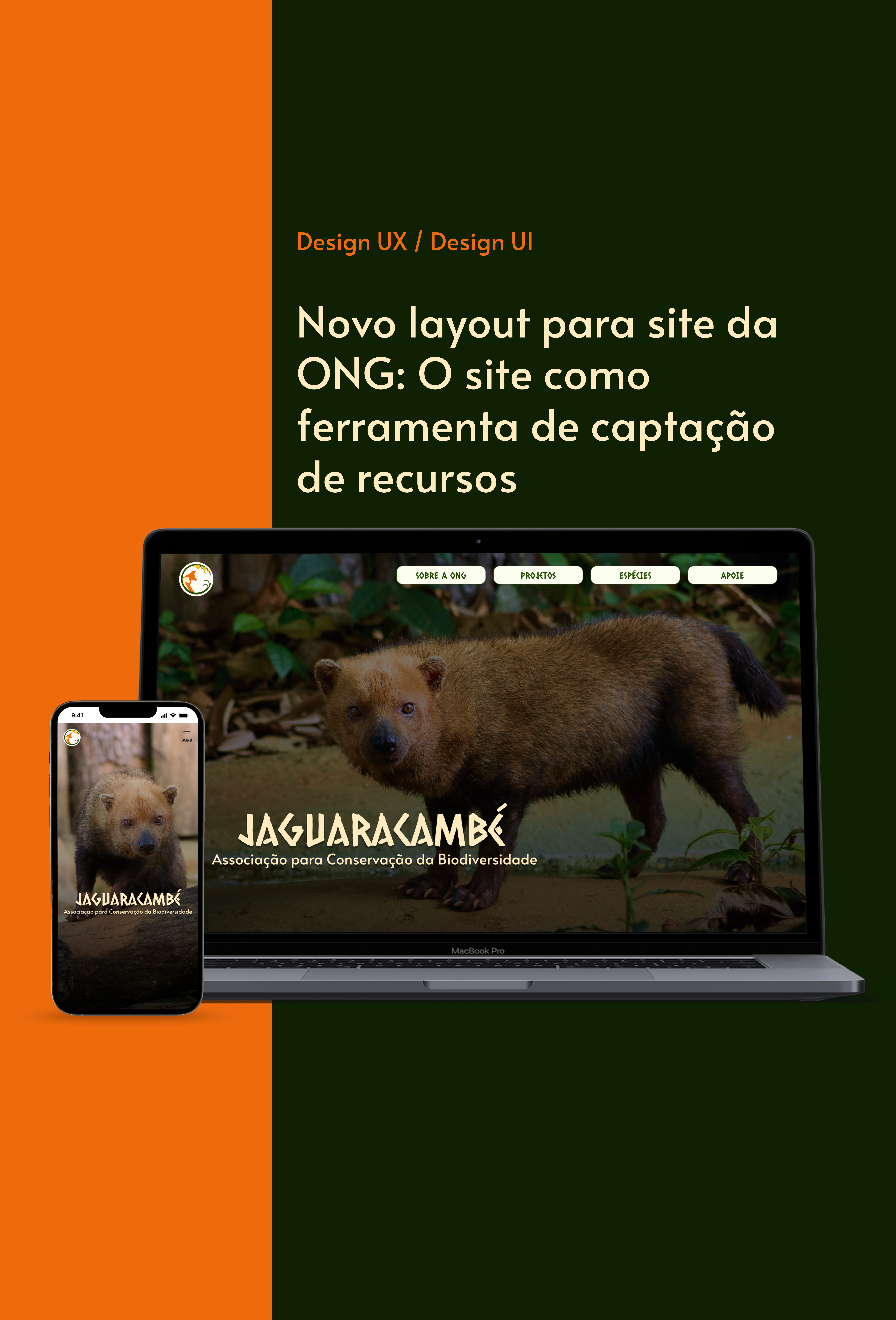 Capa projeto Jaguaracambé